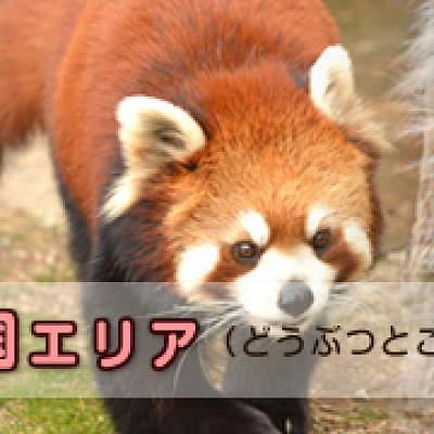 動物とこどもの国エリア