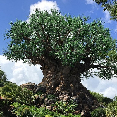 アニマルキングダムのツリーオブライフ