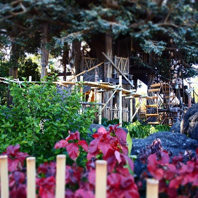 自然にあふれるアドベンチャーランドには、動物たちも遊びに来る