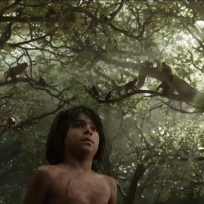 ジャングルの動物たち