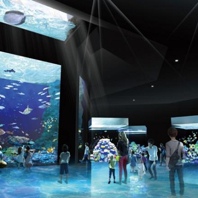 アクアライブ