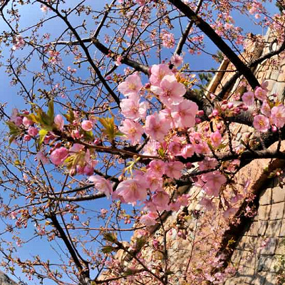 アクアダクトブリッジのトリビア