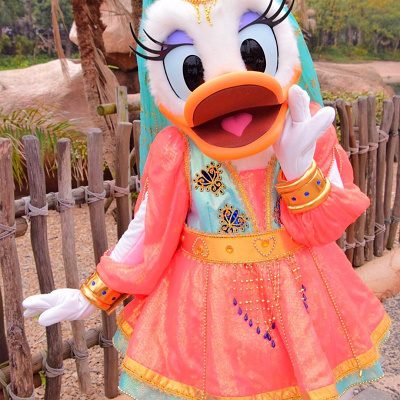 アラビアン風のデイジー