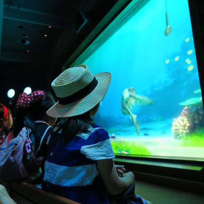 クラッシュ以外にも登場人物が？