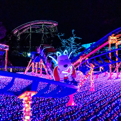 幻想的な光に照らされるアトラクション