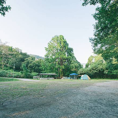 オートキャンプサイト