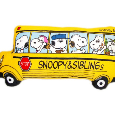 バスクッション