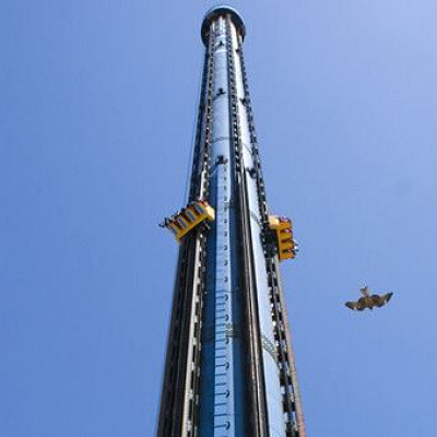 ブルーフォール