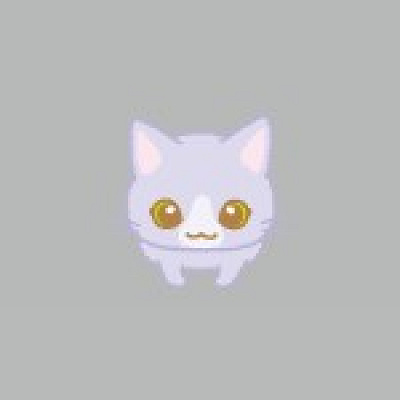 ぼさねこ　短毛時