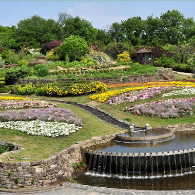 東山動物園の隣にある植物園