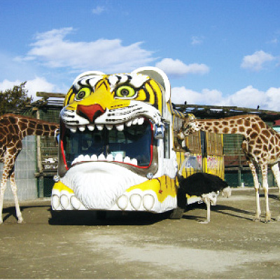 バス