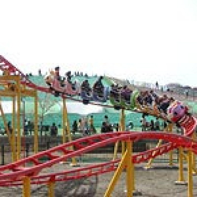 ブタ天キッズコースター