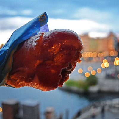 ディズニーのスモークターキーレッグでエネルギーチャージ！