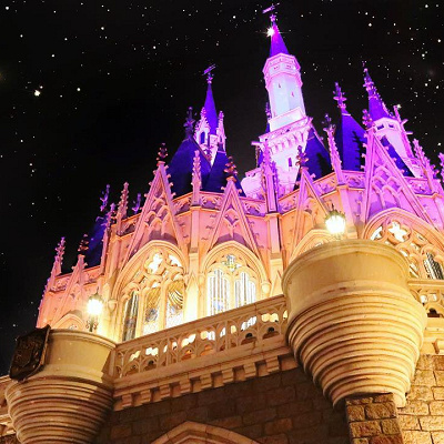 やっぱりシンデレラ城は欠かせない！