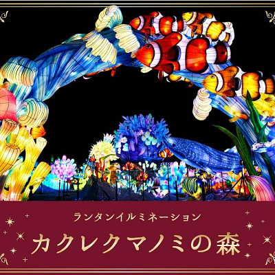 カクレクマノミの森