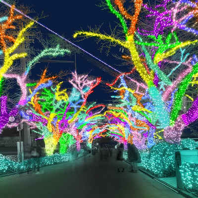 ヘルメスの宮廷／よみうりランドのイルミネーション