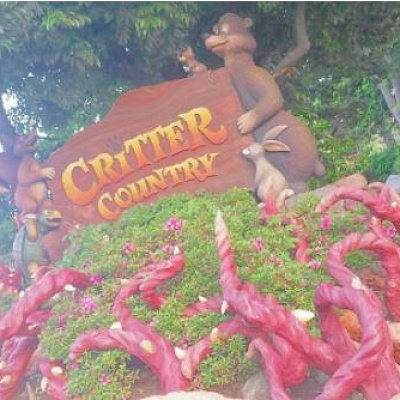 クリッターカントリー入口