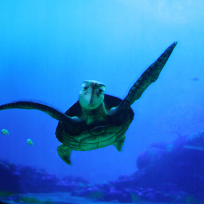 何度行っても楽しめる仕様に