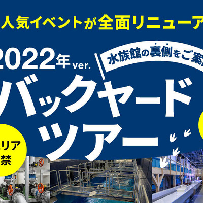 DMMかりゆし水族館　バックヤードツアー