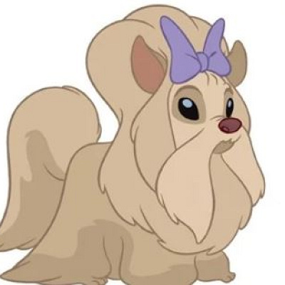 シーズー犬にそっくり？！