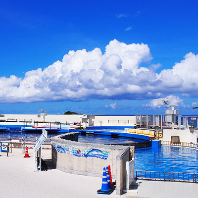 イルカラグーン