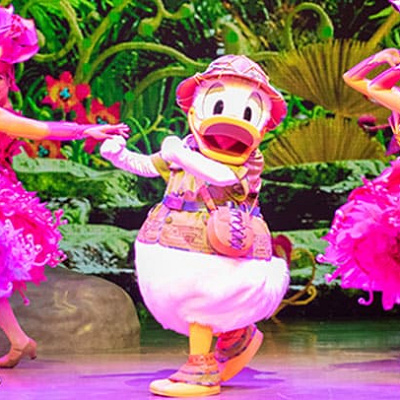 ソング・オブ・ミラージュのドナルド