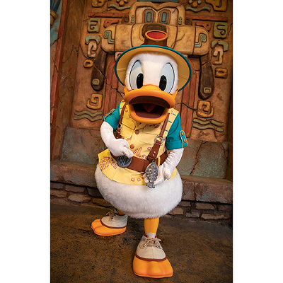 トレイルのドナルド