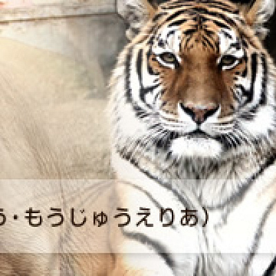 象・猛獣エリア