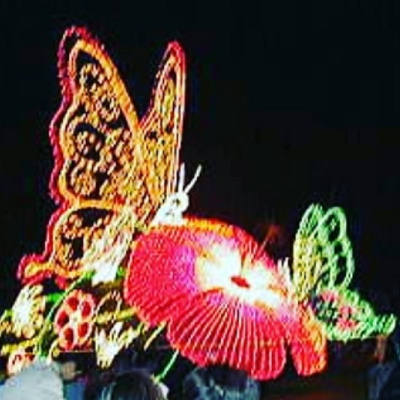 エンチャンテッド・バタフライ・ガーデン