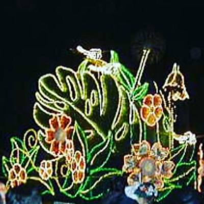 エンチャンテッド・ドラゴンフライ