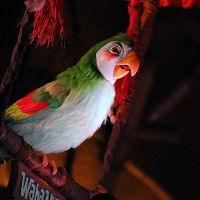 魅惑のチキルーム