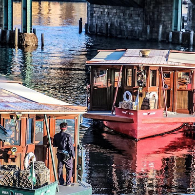 船酔いが不安な方も安心して乗れます