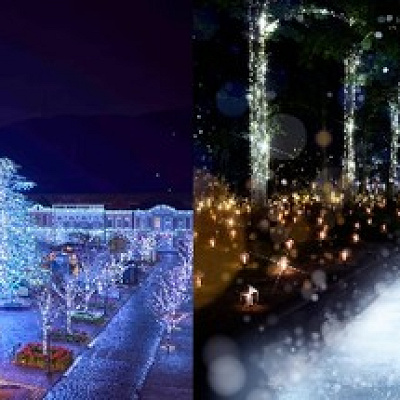 白銀の世界を体験