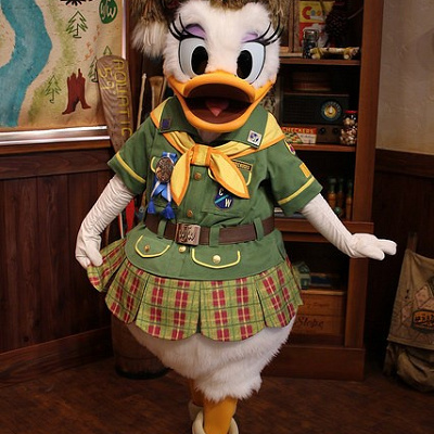 施設グリのデイジー