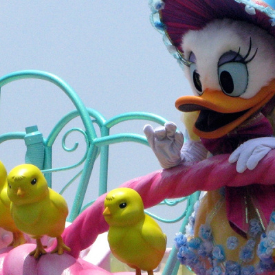 おしゃれで上品なデイジーダック