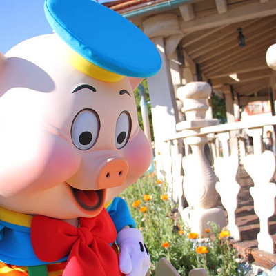 フィドラー・ピッグ