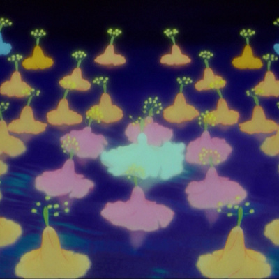 美しく舞う花たち