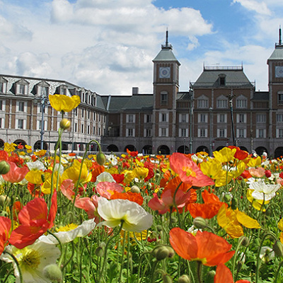 神戸フルーツフラワーパークの園内の花