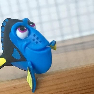 物忘れの激しいナンヨウハギ