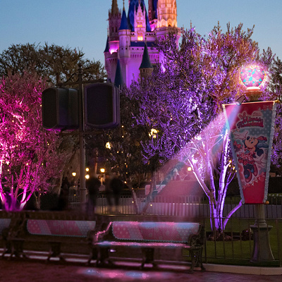 ファンダーナイトのデコレーション