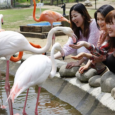  ふれあい動物王国