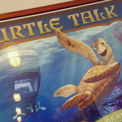 タートル・トークについて知ろう