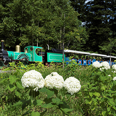 グラスゴートレイン