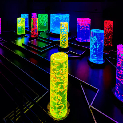 金魚の杜／アートアクアリウム