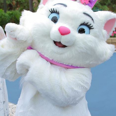 グリーティングの様子