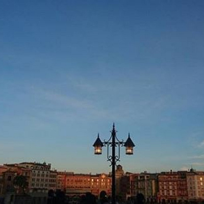 ハピネス・オン・ハイの中止基準