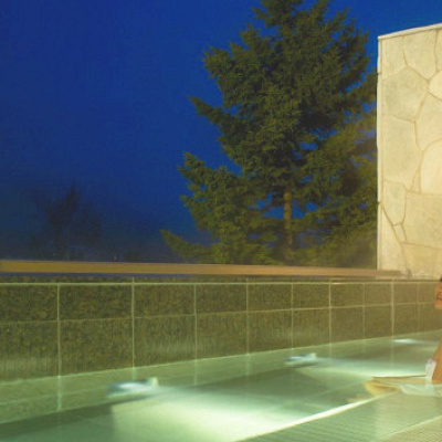 大人向け癒し施設