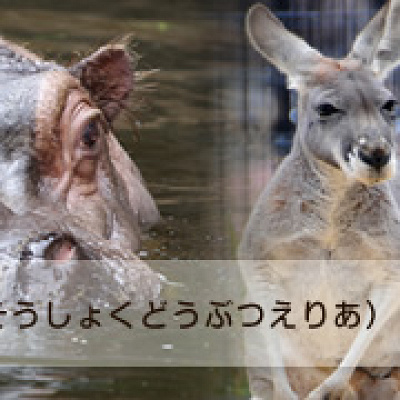 草食動物エリア