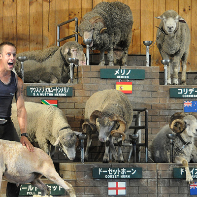 普段はシープショーを開催している「アグロドーム」にヒーローたちが登場！