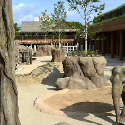 東山動物園